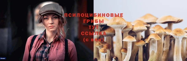 экстази Арсеньев