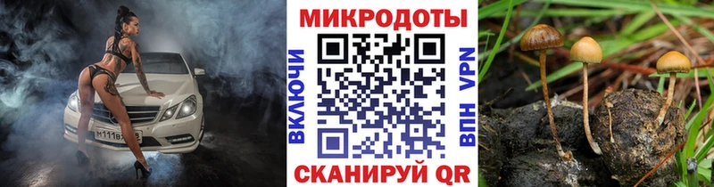 Псилоцибиновые грибы мицелий  Артёмовск 